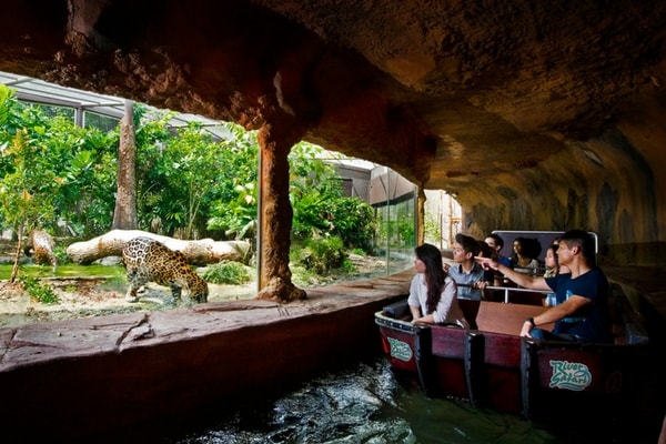 river-safari