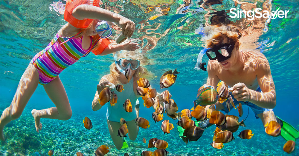 7 Family Holiday Ideas Less Than 7 Hours From Singapore | SingSaver