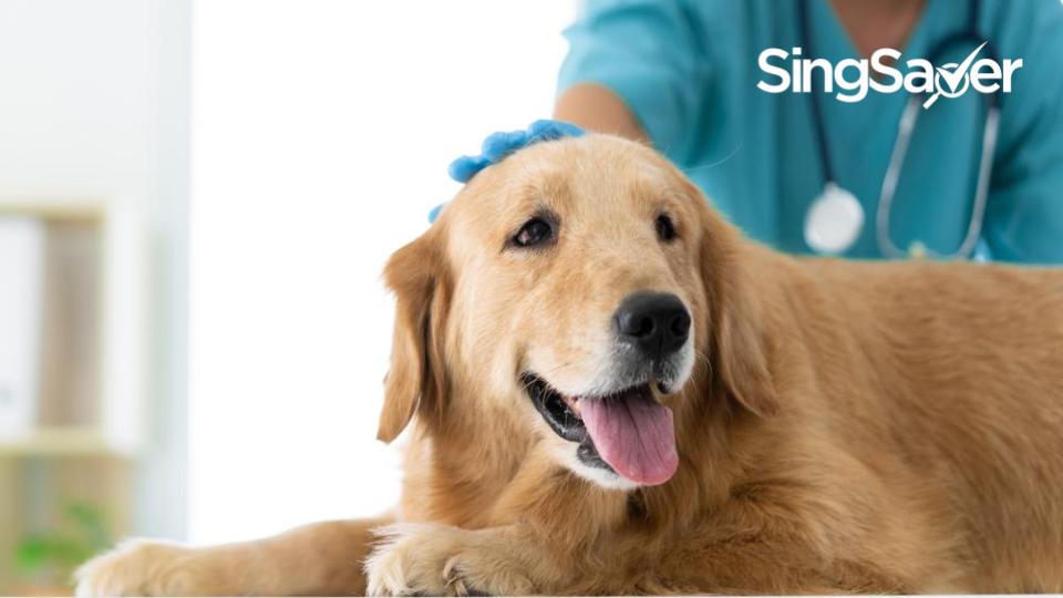 best and cheapest vets near me