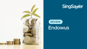 Endowus Review: Investing Your Cash, CPF And SRS Money At Low Fees