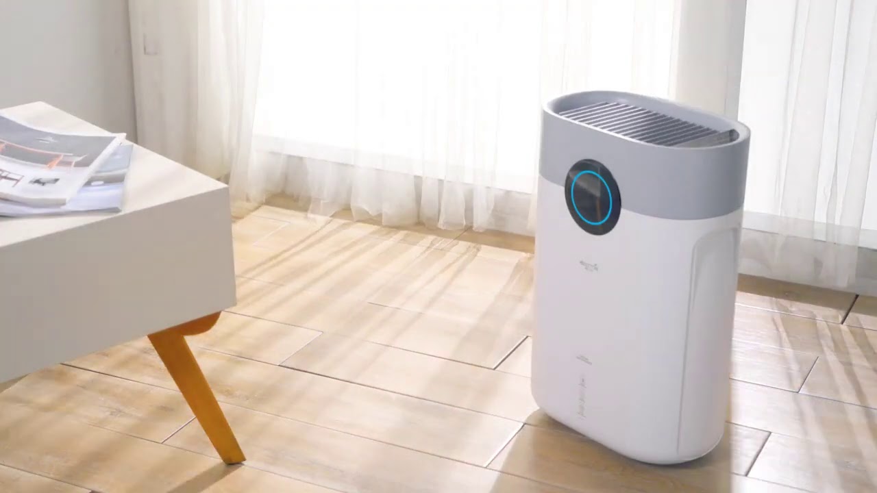 Best Dehumidifiers To Keep Your Home Fresh Comfortable Singsaver