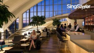 Credit Cards With Free Airport Lounge Access: What You Need To Know