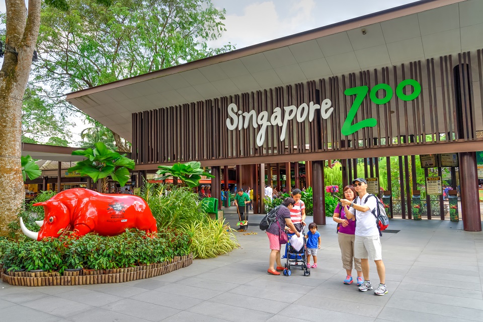 Singapore Zoo Promotions – Friends Of Wildlife Membership & More